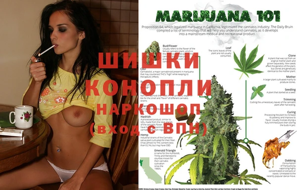 бошки Семёнов