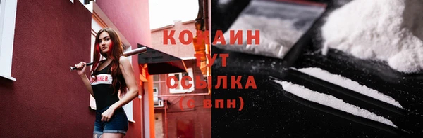 бошки Козельск