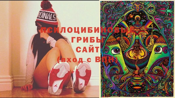 spice Семикаракорск