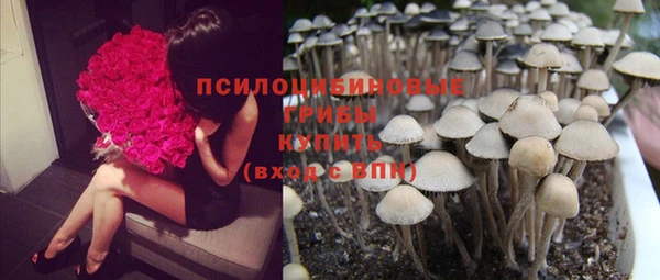 spice Семикаракорск